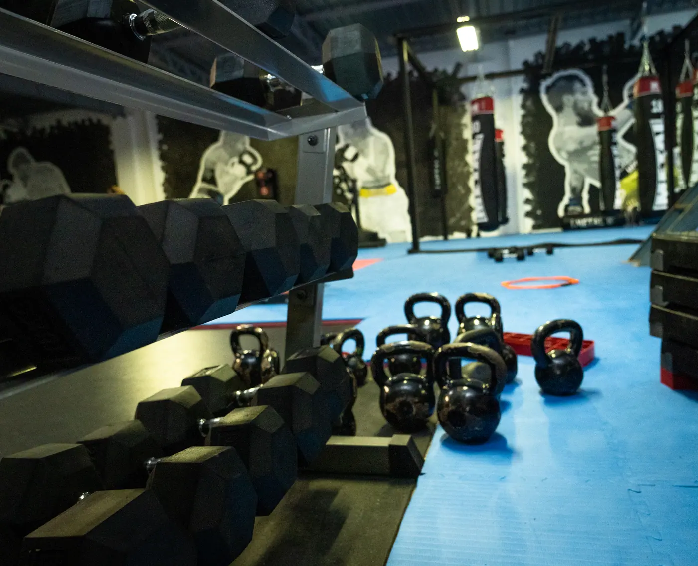 Haltères hexagonaux et kettlebells rangés au bord du tapis bleu, avec les sacs de frappe et les fresques au fond